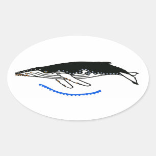 ザトウクジラ – 絶滅危惧動物 – 自然- 楕円形シール