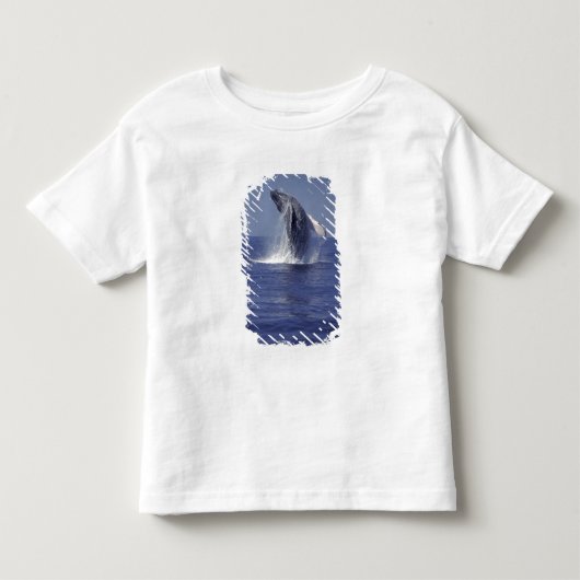 ザトウクジラ(Megaptera トドラーTシャツ (正面)