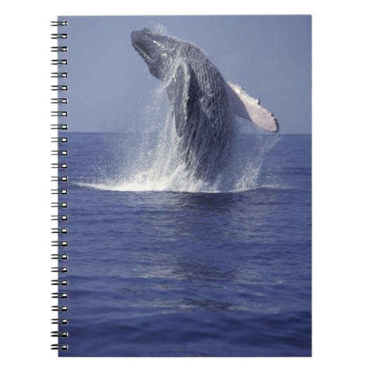 ザトウクジラ（Megaptera ノートブック (正面)