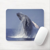 ザトウクジラ（Megaptera マウスパッド (マウス)