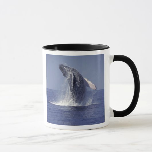 ザトウクジラ（Megaptera マグカップ (右)