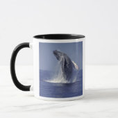ザトウクジラ（Megaptera マグカップ (左)