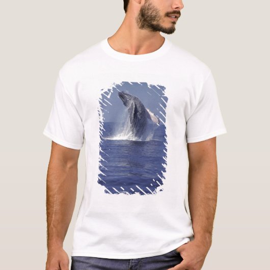 ザトウクジラ(Megaptera Tシャツ (正面)