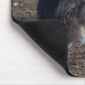 ザトライカラーコリン マウスパッド (コーナー)