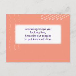 ザトレジャー狩りゲーム – 手掛かり#2 – ヘアブラシ ポストカード