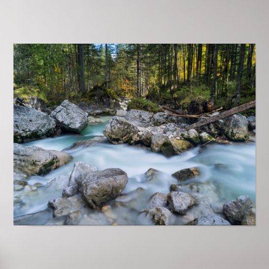 ザトレントラムザワーアッシュ ポスター (正面)