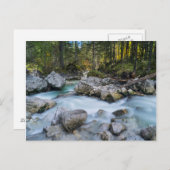 ザトレントラムザワーアッシュ ポストカード (正面/裏面)