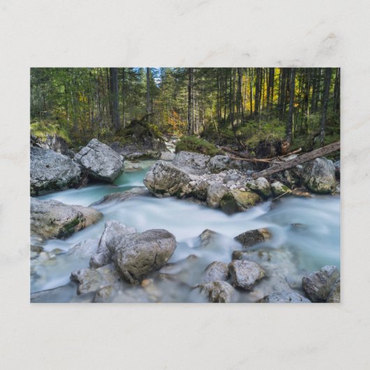 ザトレントラムザワーアッシュ ポストカード (正面)