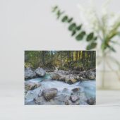 ザトレントラムザワーアッシュ ポストカード (スタンド正面)