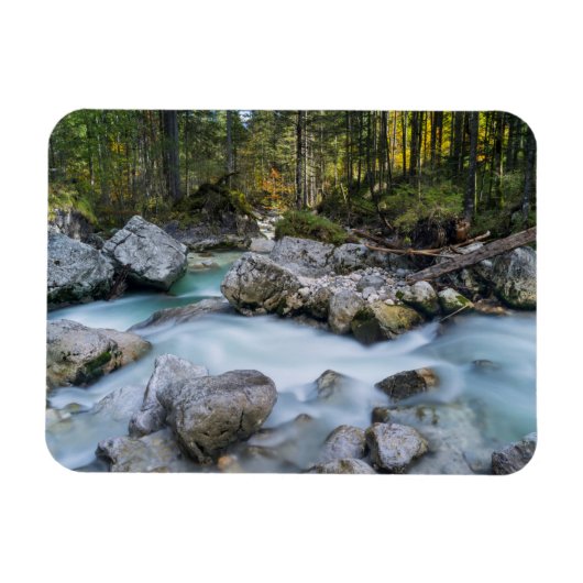 ザトレントラムザワーアッシュ マグネット (横)