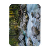 ザトレントラムザワーアッシュ マグネット (縦)