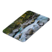 ザトレントラムザワーアッシュ マグネット (左側)