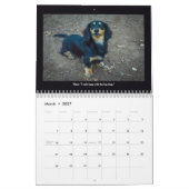 ザドッグズオブレイニー通りカレンダー カレンダー (3月 2027)