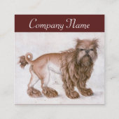 ザドッグ/アフェンピンシェ/獣医,獣医 スクエア名刺 (裏面)