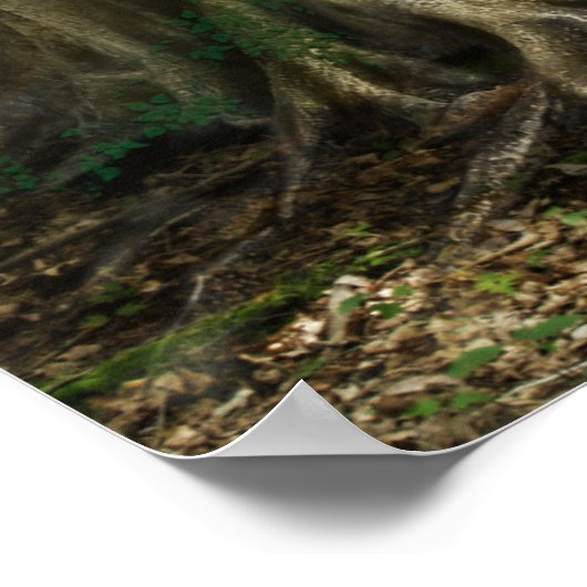 ザドライアド ポスター (角)