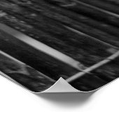 ザドライメープルリーフ – ポスター (角)