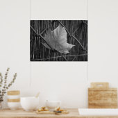 ザドライメープルリーフ – ポスター (キッチン)