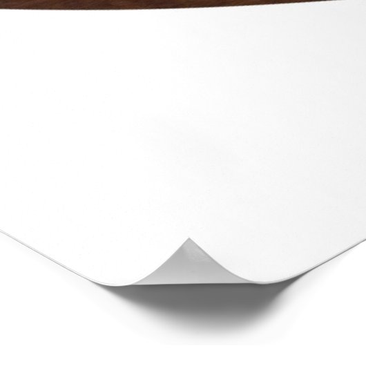 ザドラゴン2009 ポスター (角)