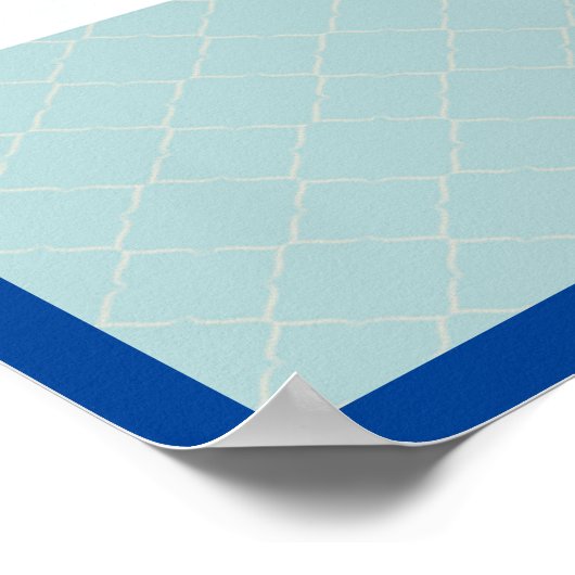 ザナニー ポスター (角)