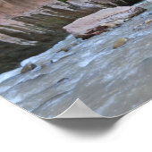 ザナローズジオン国立公園 ポスター (角)