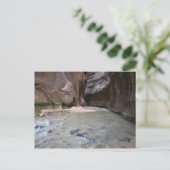 ザナローズジオン国立公園 ポストカード (スタンド正面)