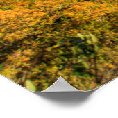 ザニューリバーゴージアットホークスネスト州パーク ポスター (角)