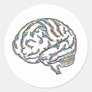 ザニー・ブレイニー ラウンドシール