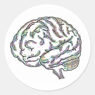 ザニー・ブレイニー ラウンドシール