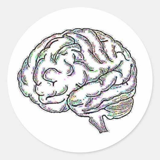 ザニー・ブレイニー ラウンドシール (正面)