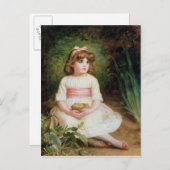 ザネスト ポストカード (正面/裏面)