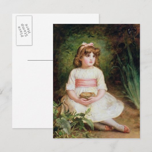 ザネスト ポストカード (正面/裏面)