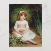 ザネスト ポストカード (正面)