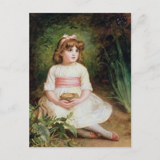 ザネスト ポストカード (正面)