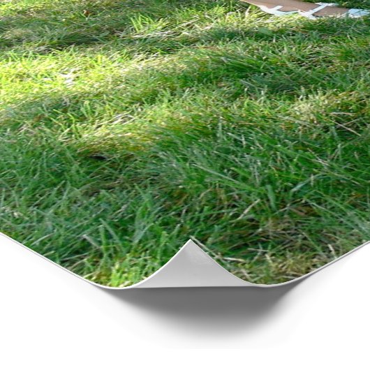 ザネソンズ ポスター (角)