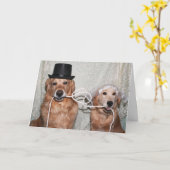 ザノット カード (黄色い花)