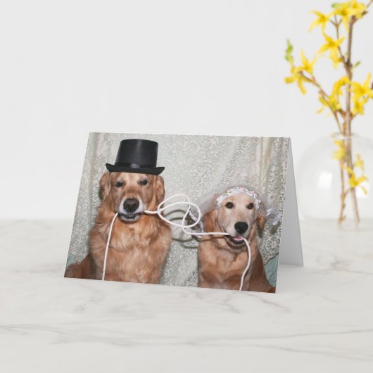 ザノット カード (黄色い花)