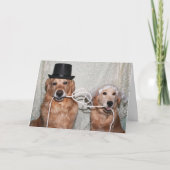 ザノット カード (正面)