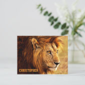 ザノーブルライオン写真 ポストカード (スタンド正面)