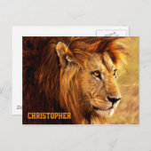 ザノーブルライオン写真 ポストカード (正面/裏面)