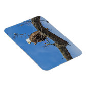 ザノーブル禿鷲 マグネット (右側)