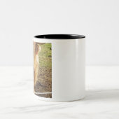 ザハイランド牛 ツートーンマグカップ (中央)