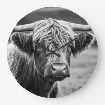 ザハイランド牛