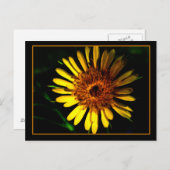 ザハガキプレイス ポストカード (正面/裏面)