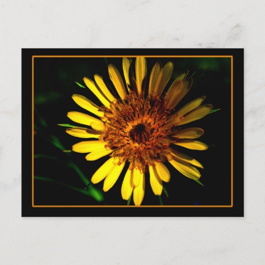 ザハガキプレイス ポストカード (正面)