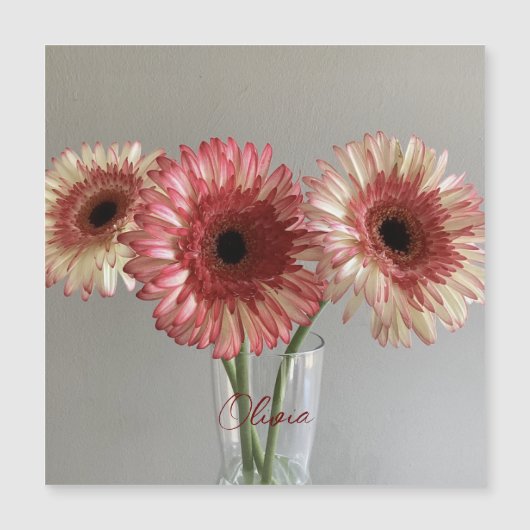 ザハッピーガーベラピンクの花写真+名前をカスタムする (正面)