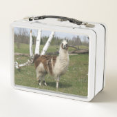 ザハッピーラマ メタルランチボックス (裏面)