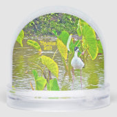 ザハワイアンのスティルバード (裏面)