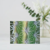 ザハンチントン植物園タコ・サボテン ポストカード (スタンド正面)