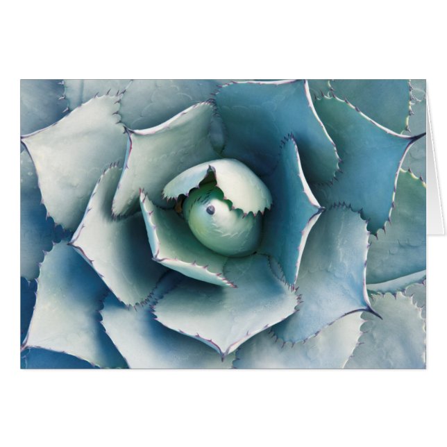 ザハンティントン植物園 (正面横)