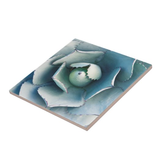 ザハンティントン植物園 タイル (側面)